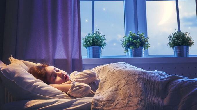 bedroom 寝室